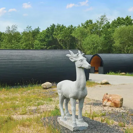 Amazing In Apartment *